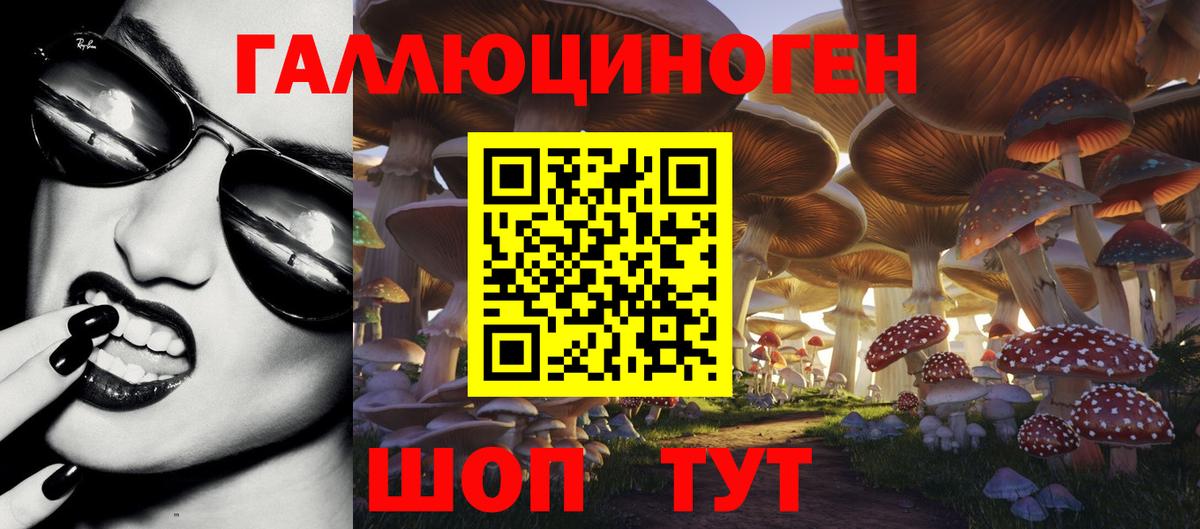 Мурманск  что такое наркотик  Галлюциногенные грибы Psilocybine cubensis  Вход с VPN  Псилоцибиновые грибы прущие грибы 